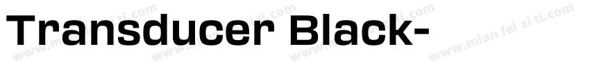 Transducer Black字体转换
